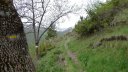 P1110525.JPG