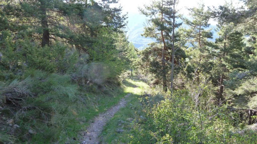 P1110640.JPG