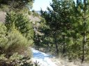 moustiers_dec_2011_031.jpg