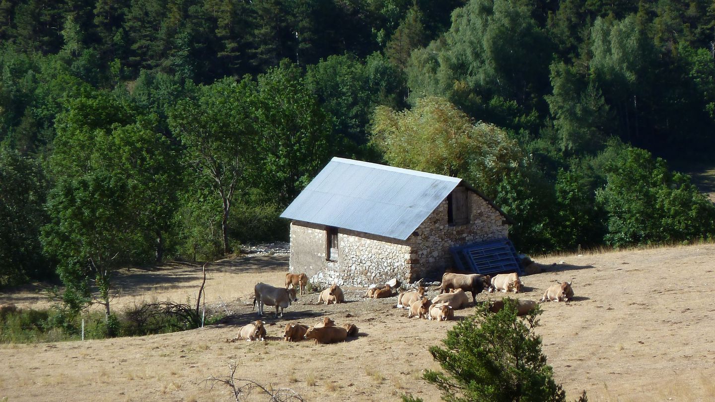P1010693.JPG