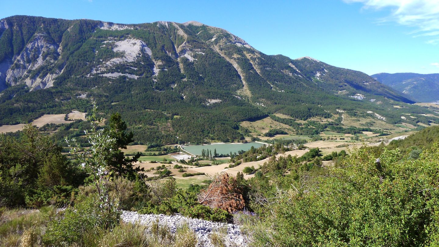 P1010699.JPG