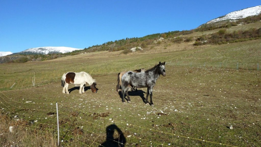 moustiers_nov__2013_012.jpg