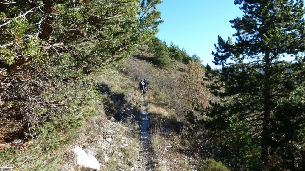 moustiers_nov__2013_054.jpg
