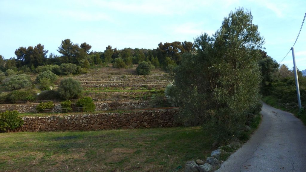 ollioules_baou_mars_2014_06.jpg