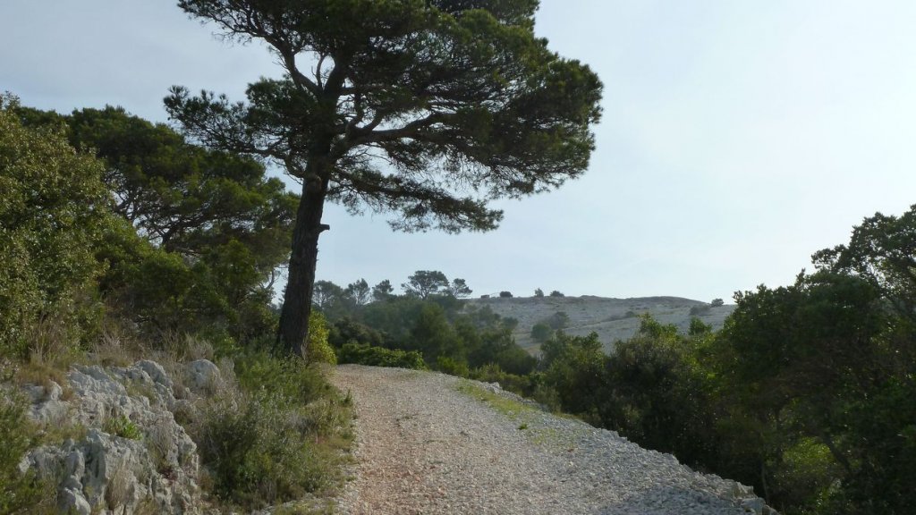 ollioules_baou_mars_2014_22.jpg