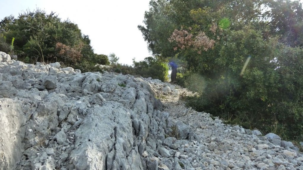 ollioules_baou_mars_2014_38.jpg