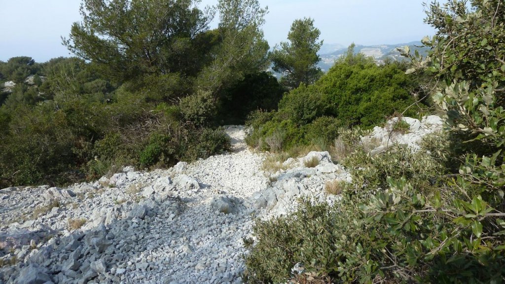 ollioules_baou_mars_2014_40.jpg