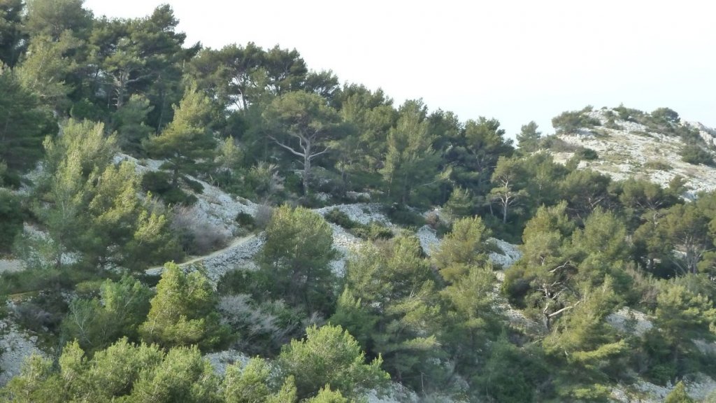 ollioules_baou_mars_2014_54.jpg