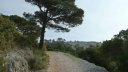 ollioules_baou_mars_2014_22.jpg