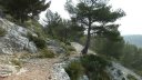 ollioules_baou_mars_2014_70.jpg