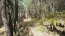 ondres_villars-heyssier_avr_2017_043.JPG