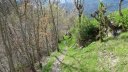 ondres_villars-heyssier_avr_2017_063.JPG