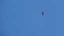 ondres_croix_puy_aout_2012_064.jpg
