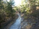 ondres_dec_2011_045.jpg