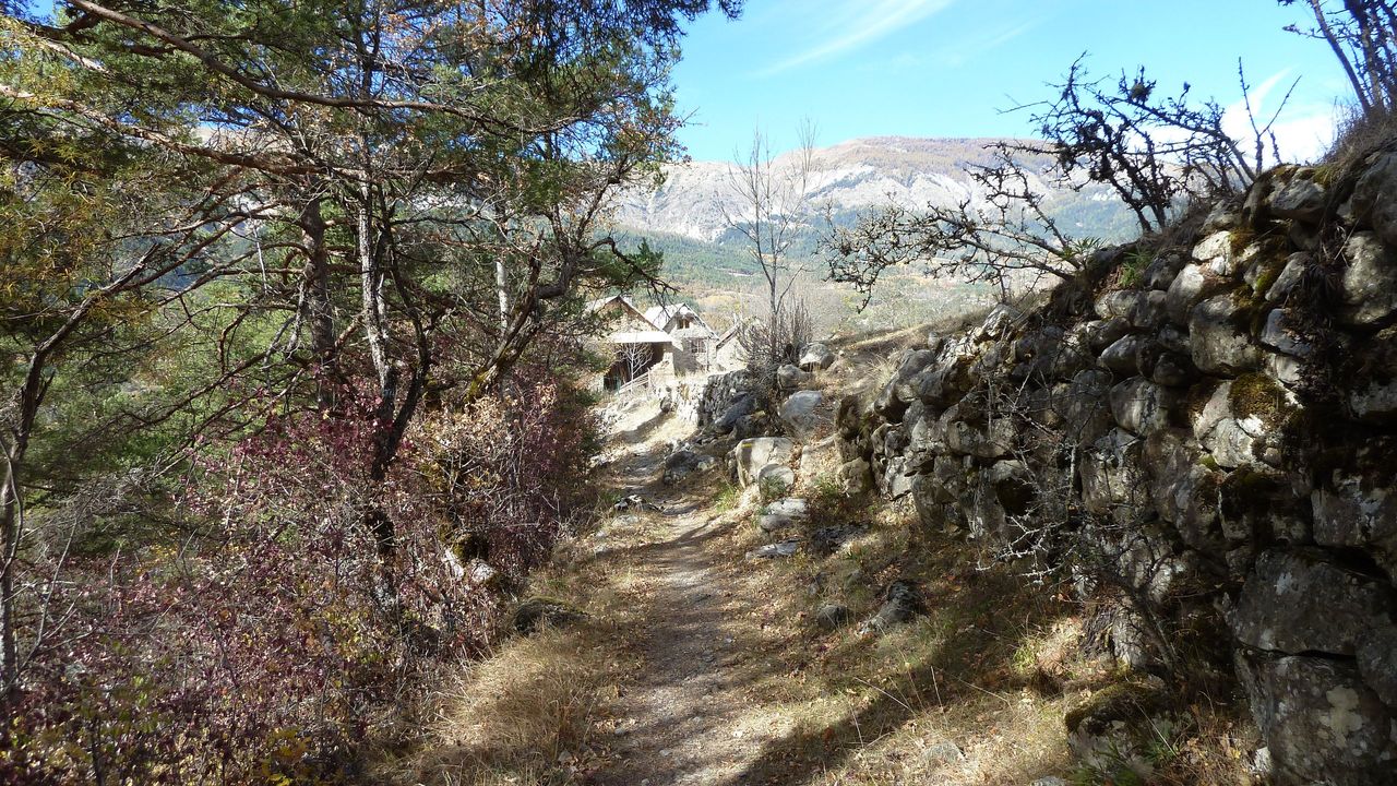 orgeas_oct_2017_111.JPG