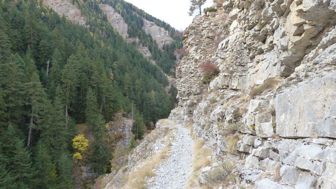 orgeas_oct_2017_70.JPG