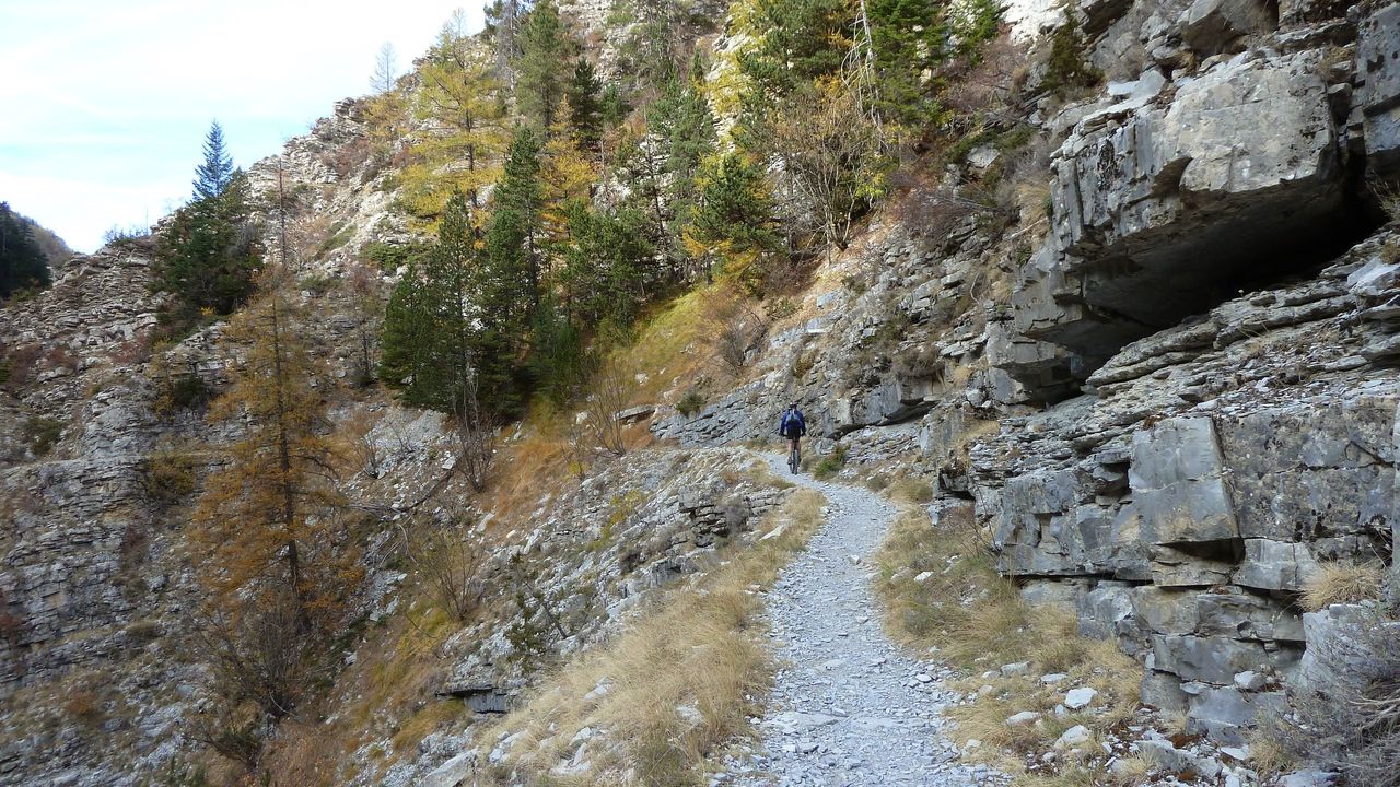 orgeas_oct_2017_72.JPG