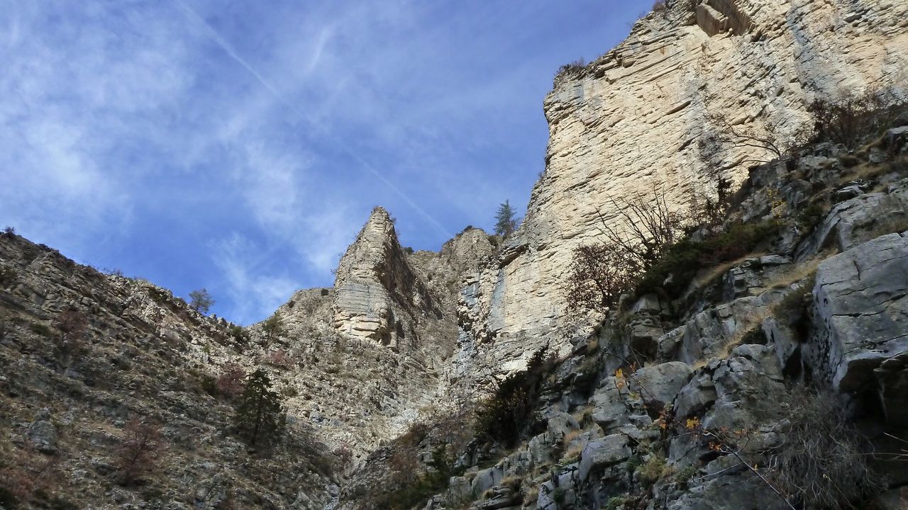 orgeas_oct_2017_82.JPG