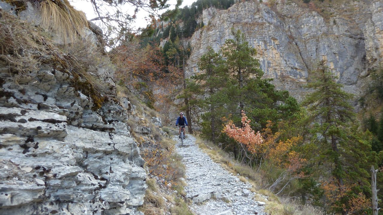 orgeas_oct_2017_94.JPG