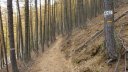 orgeas_oct_2017_35.JPG
