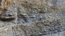 orgeas_oct_2017_89.JPG