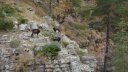 orgeas_oct_2017_96.JPG