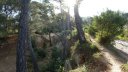 paradis_mont_des_oiseaux_mars_2017_029.JPG