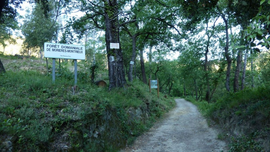 pas_de_belgentier_2014_06.jpg