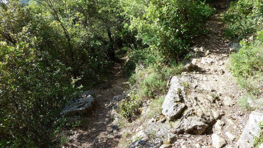 pas_de_belgentier_2014_54.jpg