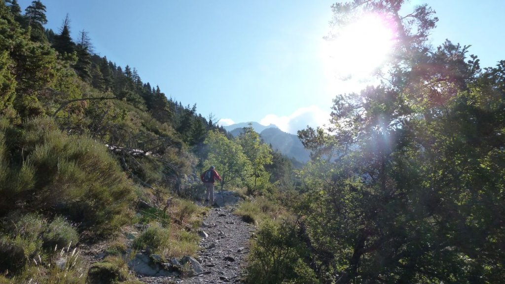 pas_de_l_echelle_2013_014.jpg
