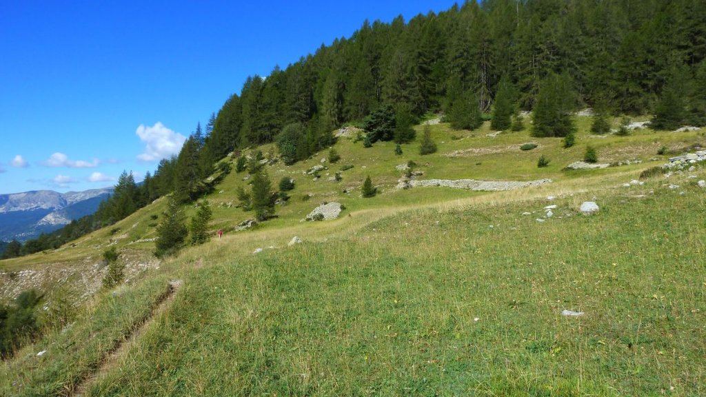 pas_de_l_echelle_2013_030.jpg