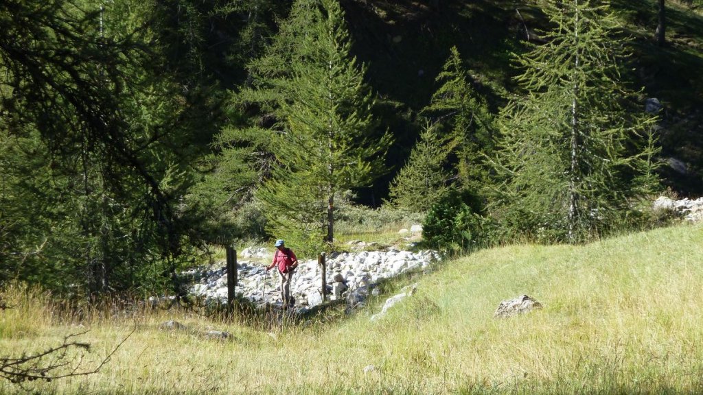 pas_de_l_echelle_2013_034.jpg