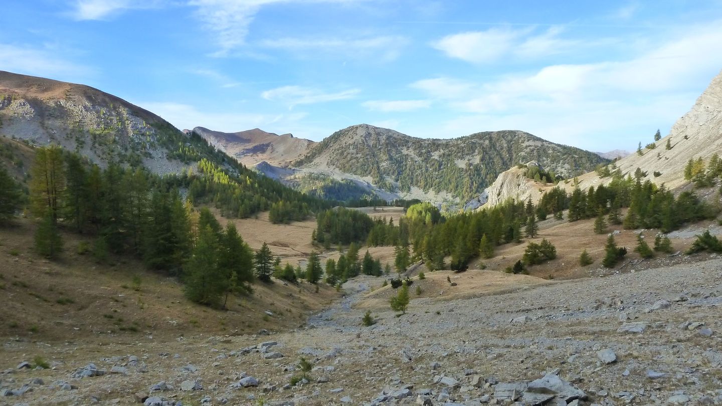 pelat_2017_10.JPG