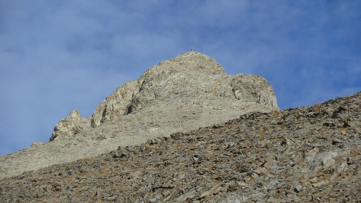 pelat_2017_44.JPG