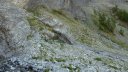 petit_col_talon_2017_091.JPG