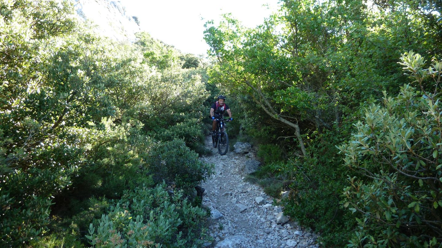bertagne_juillet_2017_047.JPG