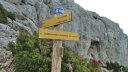 taoume_2015_047.JPG