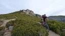 taoume_2015_057.JPG