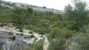 taoume_2015_065.JPG