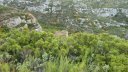 taoume_2015_067.JPG