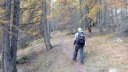 IMG_20201021_081656.jpg