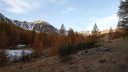 IMG_20201021_084314.jpg