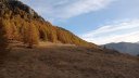 IMG_20201021_090037.jpg