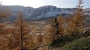 IMG_20201021_094935.jpg