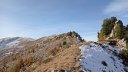 IMG_20201021_095216.jpg