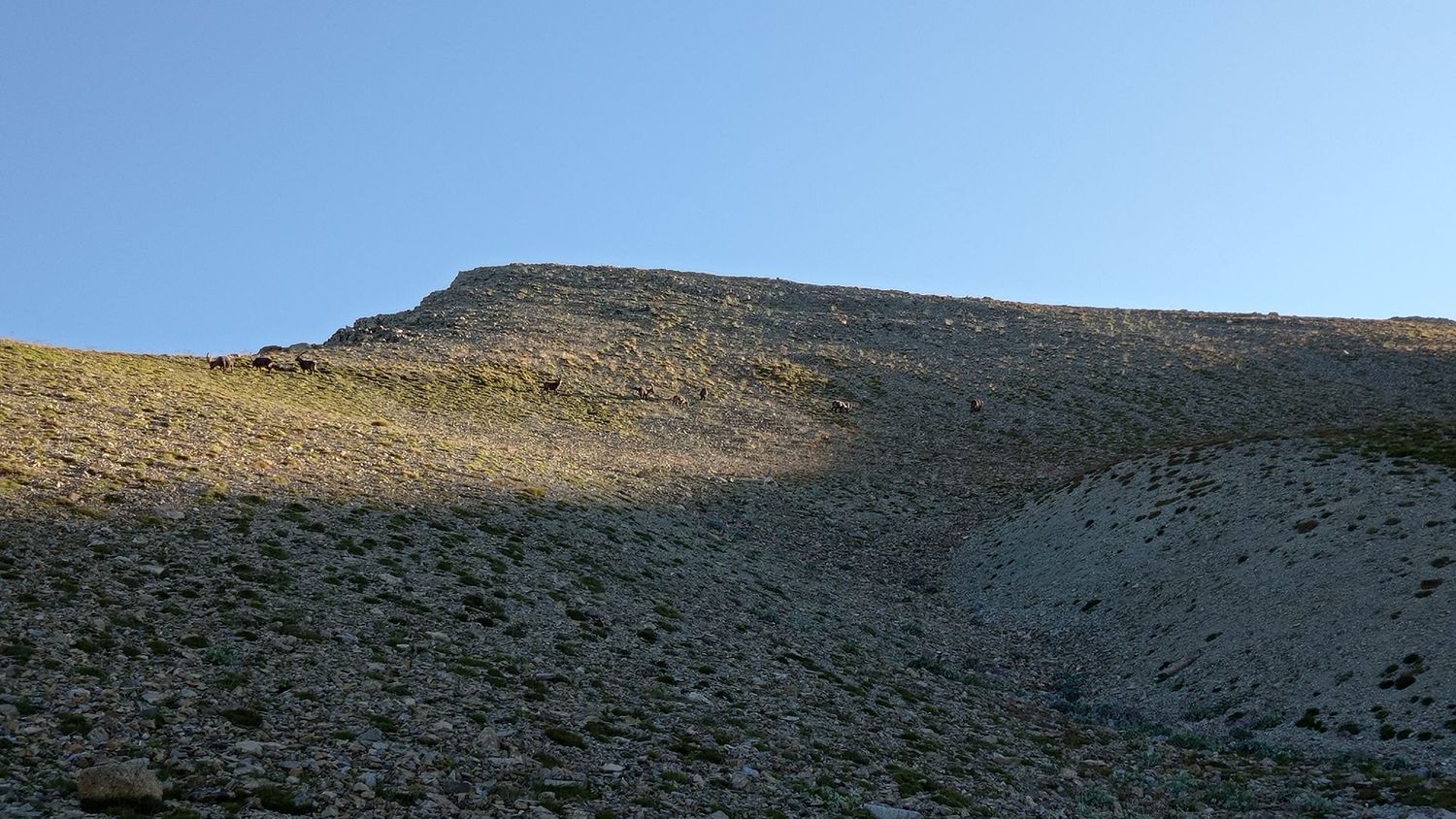 garrets_aout_21_006.jpg