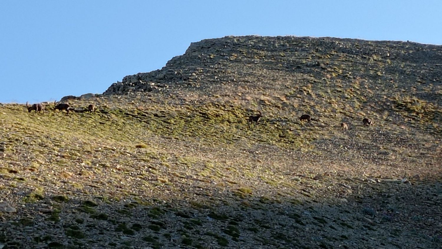 garrets_aout_21_007.jpg