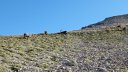 garrets_aout_21_019.jpg