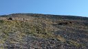 garrets_aout_21_023.jpg
