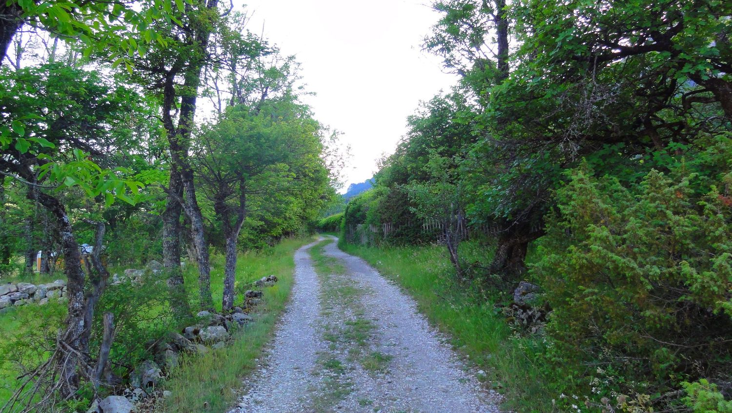 ondres_juin_2022_005.JPG